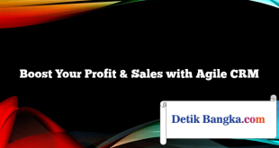 Boost Your Profit & Sales with Agile CRM