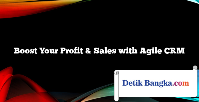 Boost Your Profit & Sales with Agile CRM